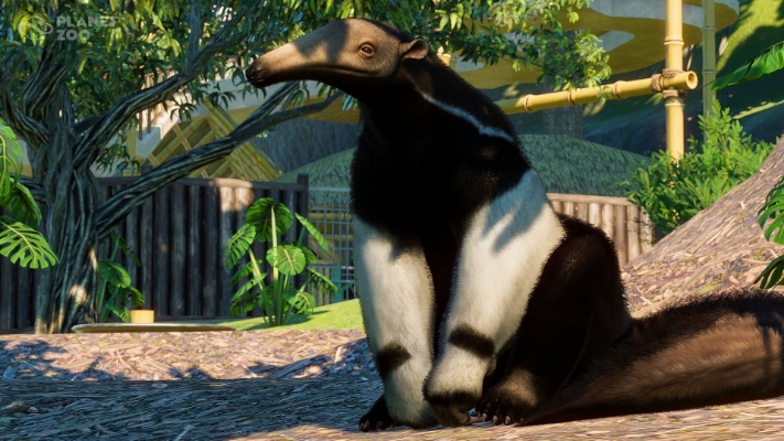 Picture of Planet Zoo: South America Pack