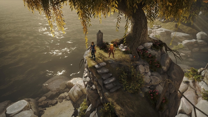  Afbeelding van Brothers - A Tale of Two Sons