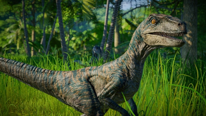 Jurassic World Evolution Raptor Squad Skin Collection Dreamgame Official Retailer Of Game Codes 