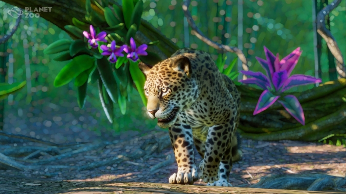 Resim Planet Zoo: South America Pack