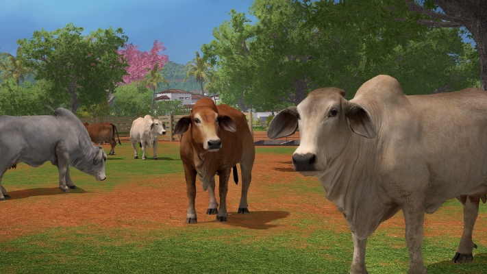  Afbeelding van Farming Simulator 17 Platinum Edition (Steam)
