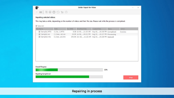 Picture of Stellar Repair for Video V4.0