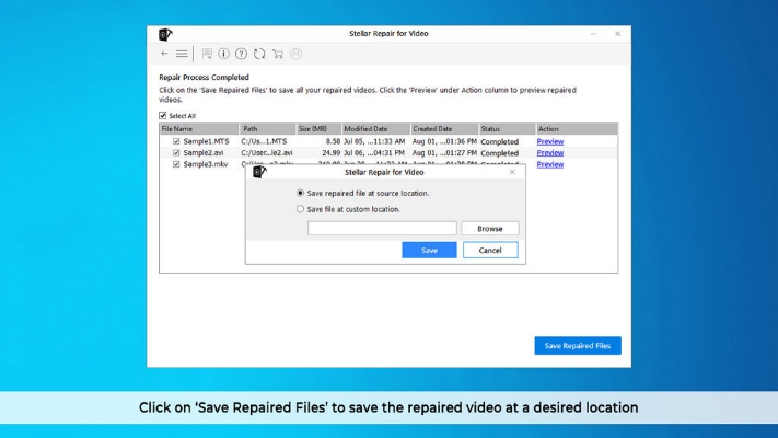 Picture of Stellar Repair for Video V4.0