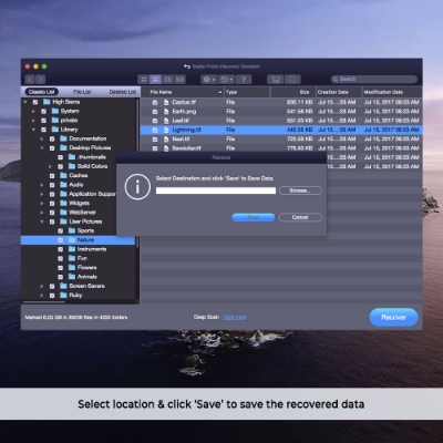  Immagine di Stellar Photo Recovery Standard for Mac V10.0