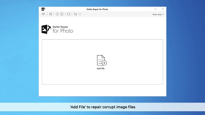 Stellar Photo Recovery Professional Windows v10.0 の画像