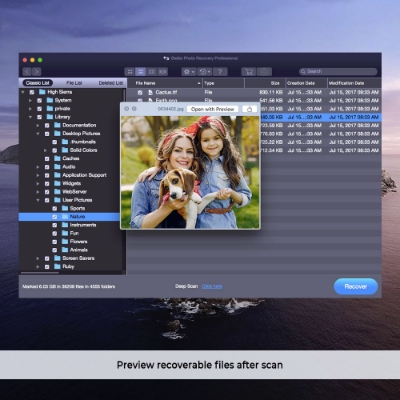 Stellar Photo Recovery Professional for Mac v10.0的图片