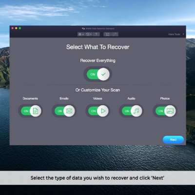 Picture of Stellar Data Recovery Standard - Mac v11
