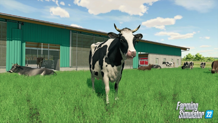 Picture of Farming Simulator 22 (Steam)