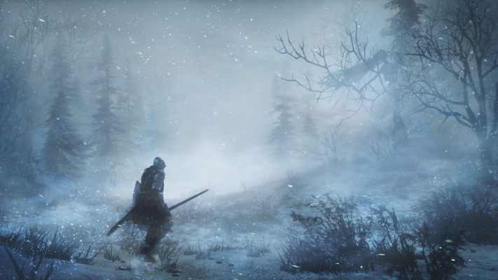 Picture of DARK SOULS™ III: Ashes of Ariandel - DLC