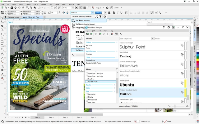 Picture of CorelDRAW Graphics Suite 365-Day Subscription