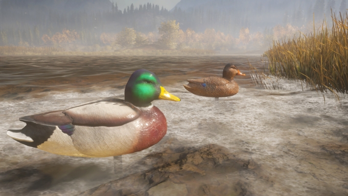 Resim theHunter: Call of the Wild™ - Duck and Cover Pack