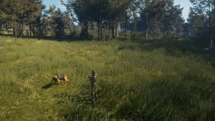 Picture of theHunter: Call of the Wild™ - Bloodhound