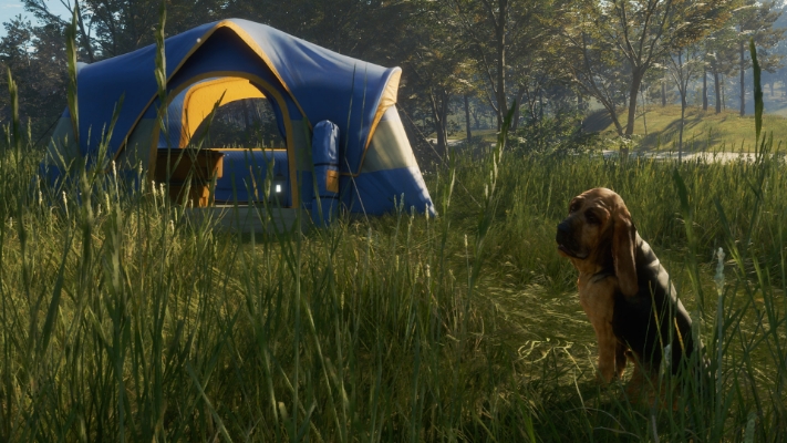Picture of theHunter: Call of the Wild™ - Bloodhound