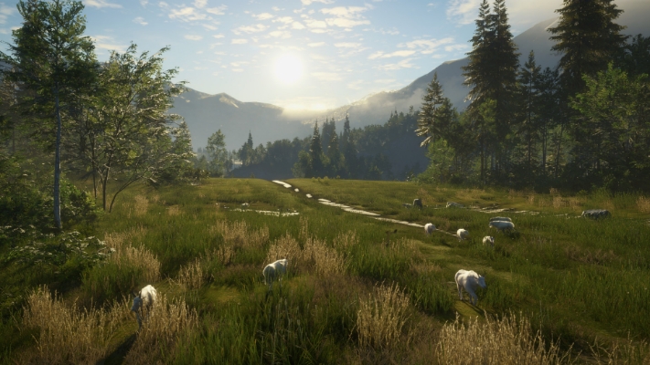 Picture of theHunter: Call of the Wild™ - Silver Ridge Peaks