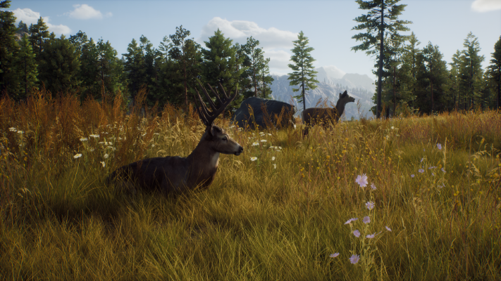  Immagine di Way of the Hunter: Elite Edition