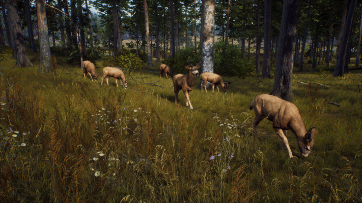  Immagine di Way of the Hunter: Elite Edition