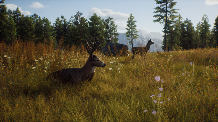 Picture of Way of the Hunter