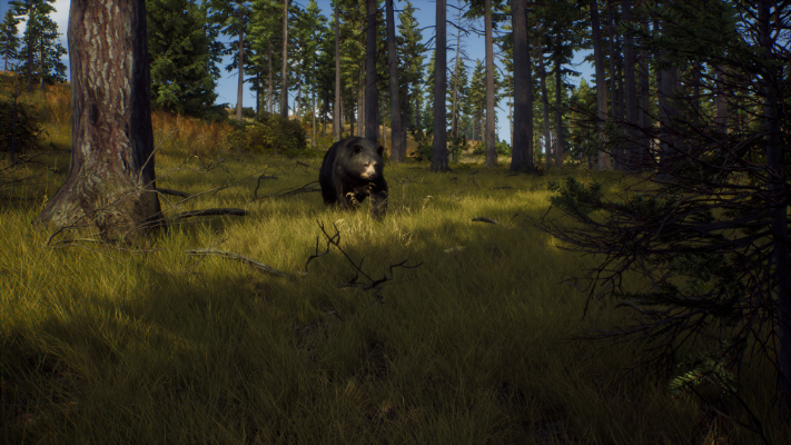 Picture of Way of the Hunter