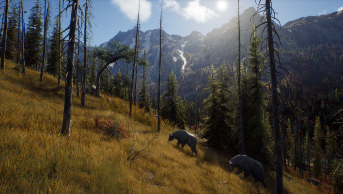 Picture of Way of the Hunter