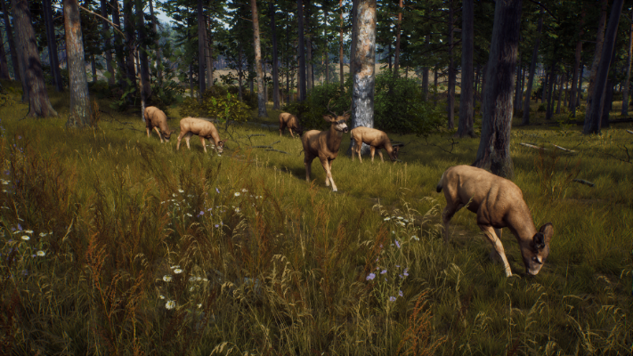 Picture of Way of the Hunter