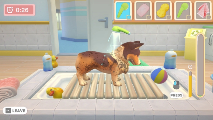 Picture of My Universe - Pet Clinic Cats & Dogs
