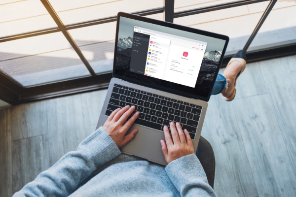  Immagine di NordPass Password Manager 1-year subscription