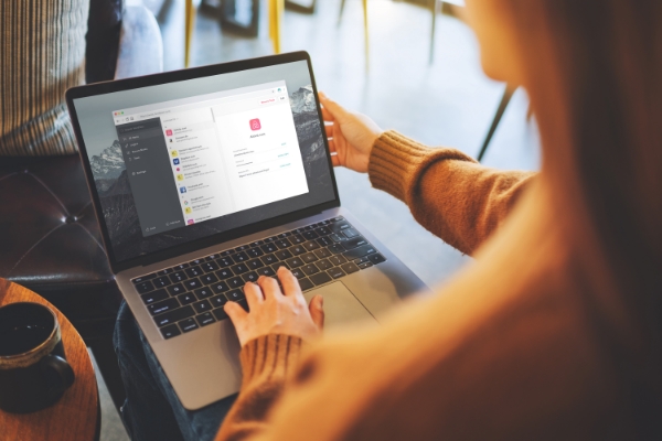  Immagine di NordPass Password Manager 1-year subscription