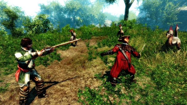 Picture of Risen 2: Dark Waters