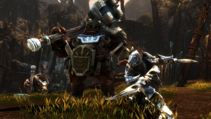Picture of Kingdoms of Amalur: Re-Reckoning Fate Edition