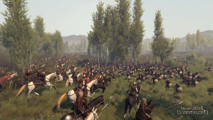 Mount & Blade II: Bannerlord的图片