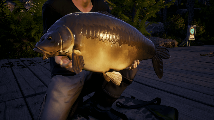Image de Euro Fishing: Ultimate Edition