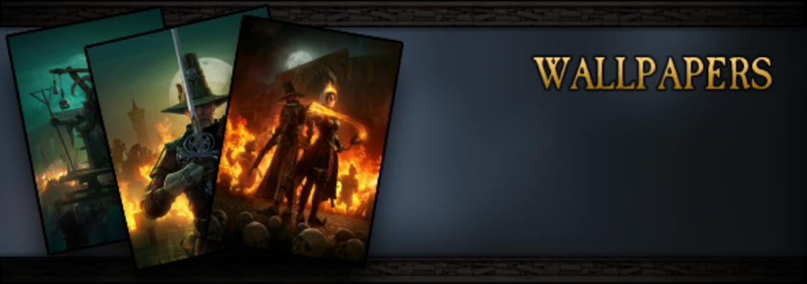  Immagine di Warhammer: End Times - Vermintide Collector's Edition