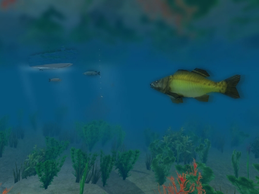 European Fishing的图片
