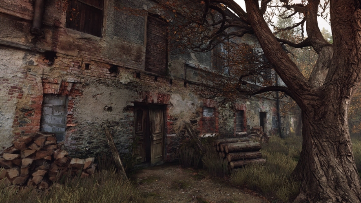 Picture of The Vanishing of Ethan Carter