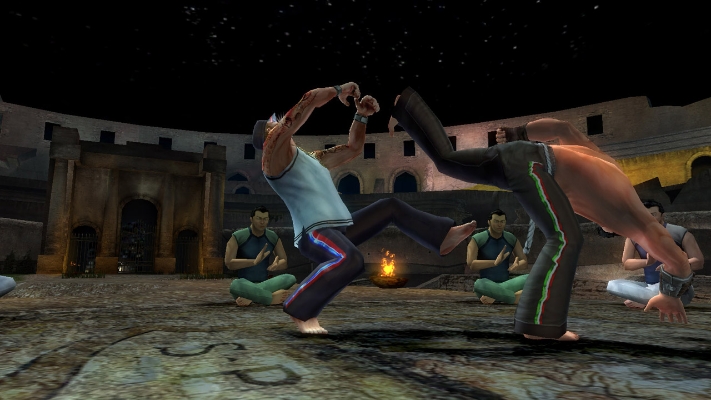 Picture of Martial Arts: Capoeira