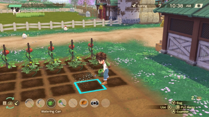 Foto van STORY OF SEASONS: A Wonderful Life