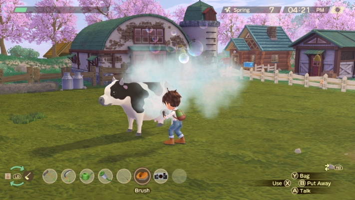 Зображення STORY OF SEASONS: A Wonderful Life