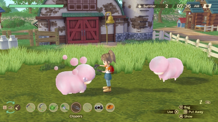 Зображення STORY OF SEASONS: A Wonderful Life