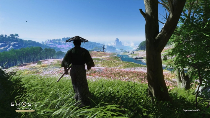 Picture of Ghost of Tsushima DIRECTOR'S CUT