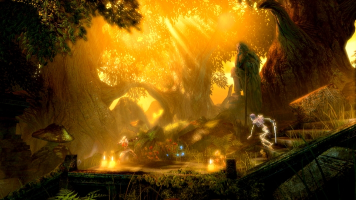 Picture of Trine Enchanted Edition