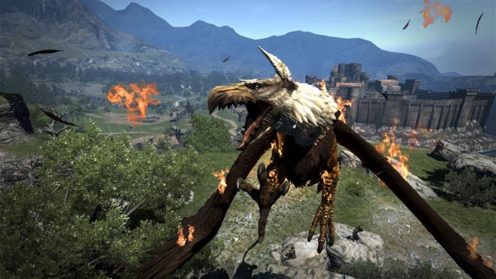 Picture of Dragon's Dogma: Dark Arisen