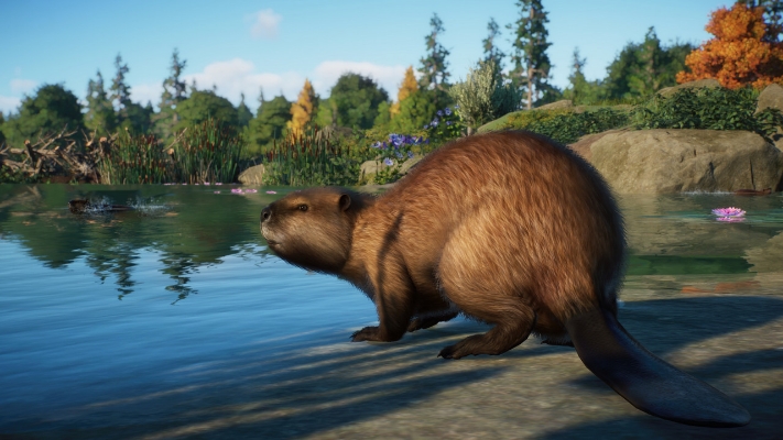 Picture of Planet Zoo: North America Animal Pack (DLC)