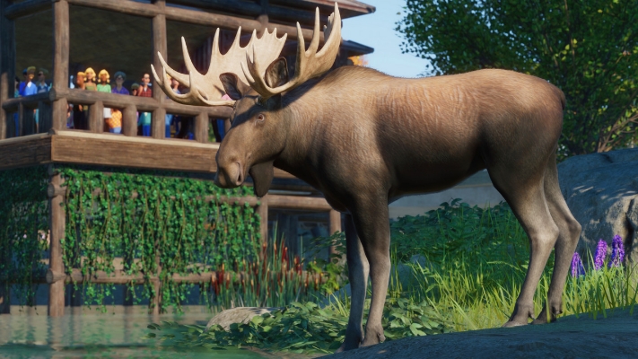 Picture of Planet Zoo: North America Animal Pack (DLC)