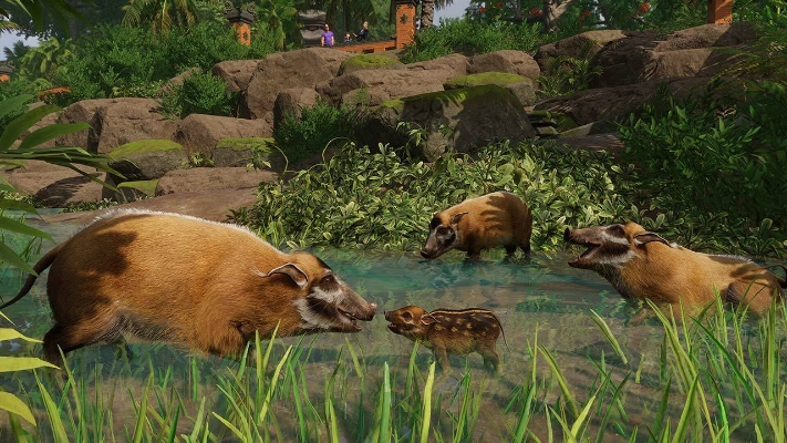 Picture of Planet Zoo: Tropical Pack (DLC)