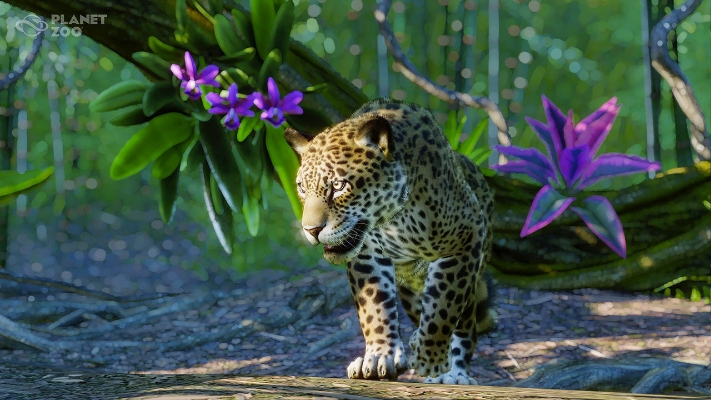 Picture of Planet Zoo: South America Pack (DLC)