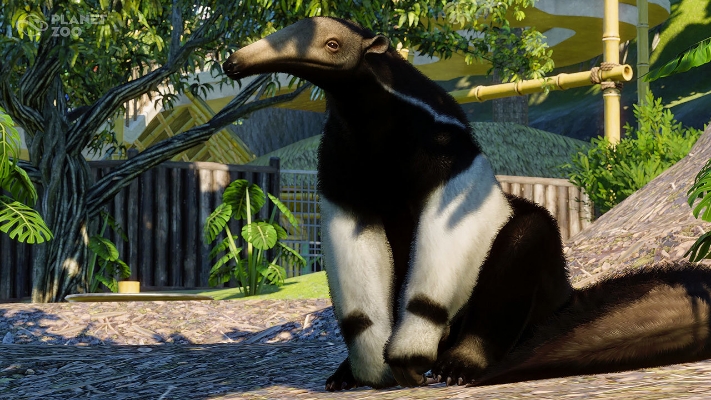 Picture of Planet Zoo: South America Pack (DLC)