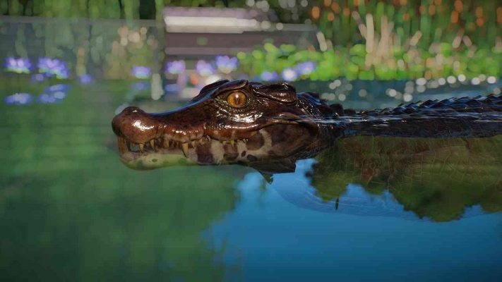 Picture of Planet Zoo: Aquatic Pack (DLC)