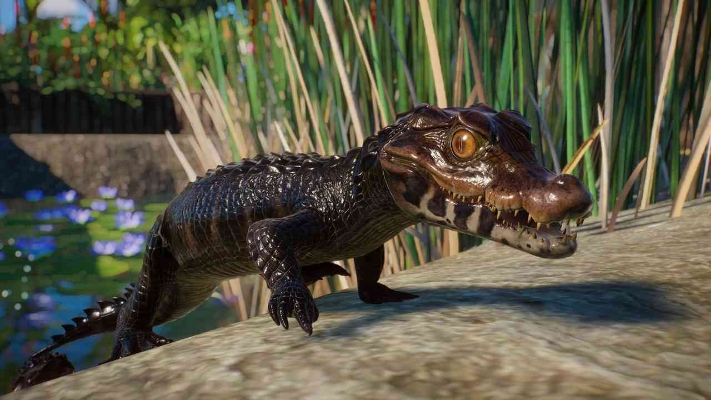 Picture of Planet Zoo: Aquatic Pack (DLC)