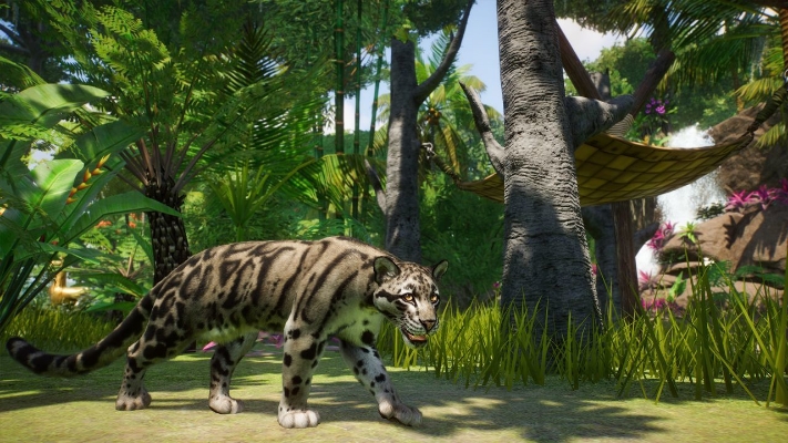 Picture of Planet Zoo: Southeast Asia Animal Pack