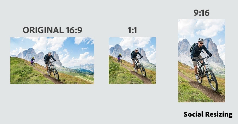 Image de Adobe Premiere Elements 2025 (Windows/Mac)